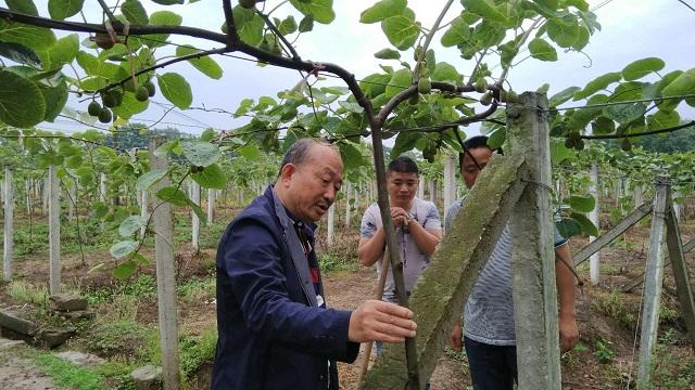 深耕农村十余载，创新成就“土壤梦”