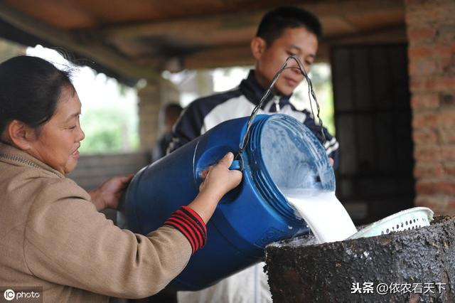 橡胶树产出战略物质的农作物，助过发展富过农民，如今却艰难前行