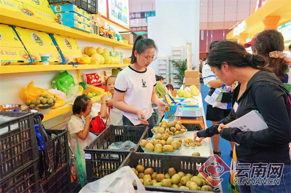 【打卡南博】水稻认养、茶艺展示、云果飘香……高原特色现代农业馆好吃又好玩