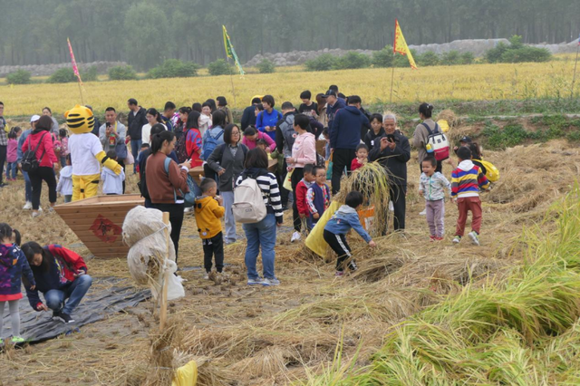 做乡村文旅项目，如果土地是基本农田，又该如何落地项目？