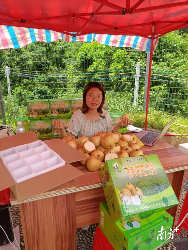 这个夏天，郁南通门与“梨”有约