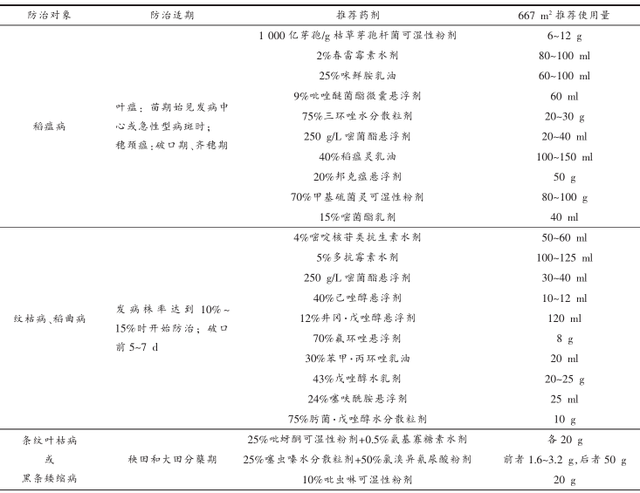 麦茬直播稻高产栽培技术规程