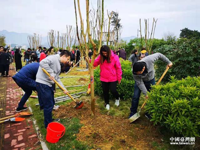 两岸青年共植“海峡青年林” 共建台青登陆第一家园