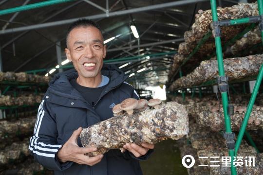 「乡村振兴」年产值150多万元，阿庄镇塬圪塔村香菇种植基地喜迎丰收