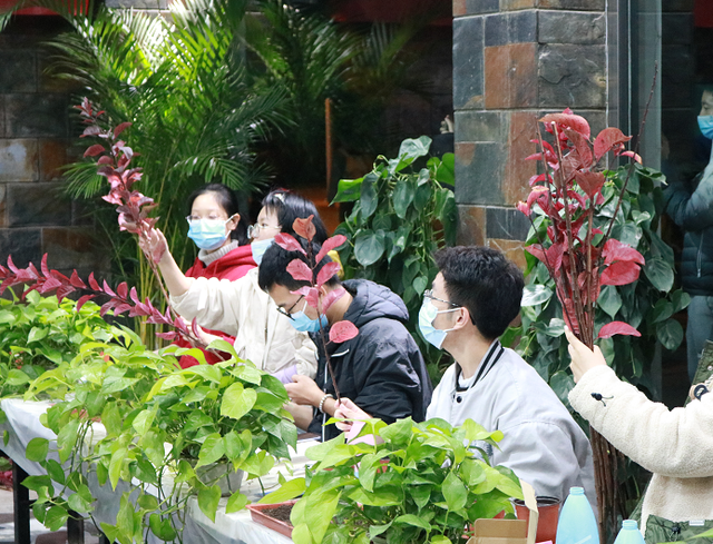 洗菜做饭、种植花草、修剪头发，大学生劳动课补习生活技能