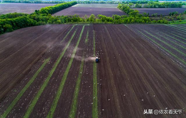 春耕时节山药下栽，提前做好3个基础保障措施，有助提品增产