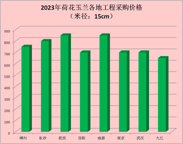 荷花玉兰（广玉兰）：2023年春季各地工程采购价一览