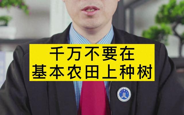 地是种粮的，不是种树的，2024新规定来了，农田种树将如何处理？