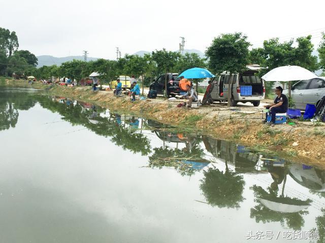 佛山高明这个被十几种水果包围的农庄，足足有300+亩，去好几次才能走个遍！