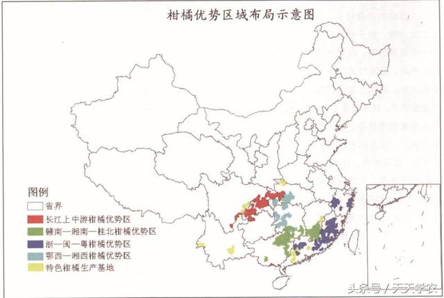 柑橘种不好？果农选址、选品种你抓住重点了吗？