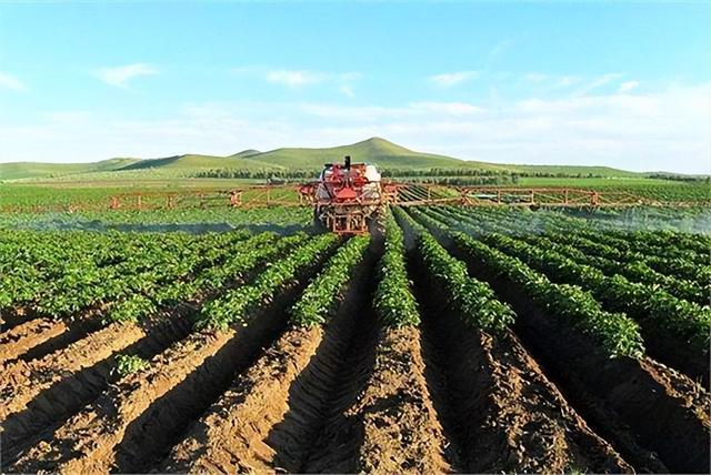 农业种植与土壤质量的关系研究