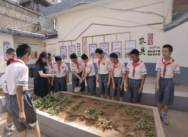 体会种植乐趣 感受收获喜悦 建设路小学种植园收获啦！