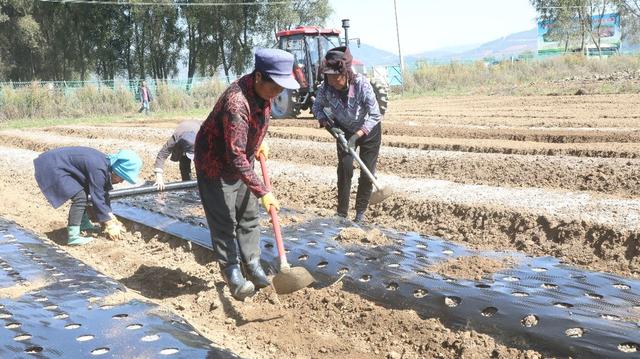 产业旺乡村兴 好医生集团发展特色中药材产业带动农民增收