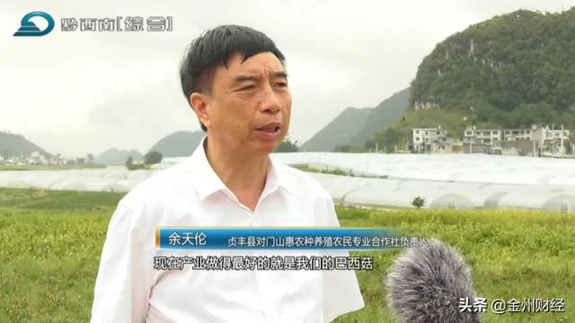 「千企帮千村」贞丰对门山村：种植巴西菇助农增收