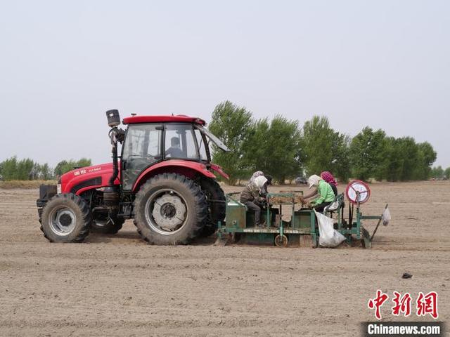 “中国蒙医药之都”：小镇中蒙药材基地“链”出致富“新良方”