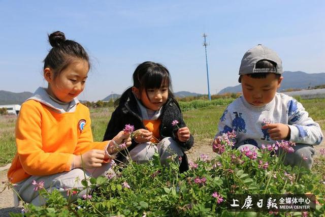 春光无限 畅享春天——爱弥儿幼儿园开展自然教育课程实践活动