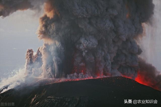 汤加火山对我国农业的影响，种玉米大豆或有风险，种大棚可能发财