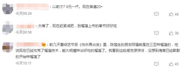 三亚也种出榴莲，价格或将大跌？网友欢呼：“10元3斤不远了”