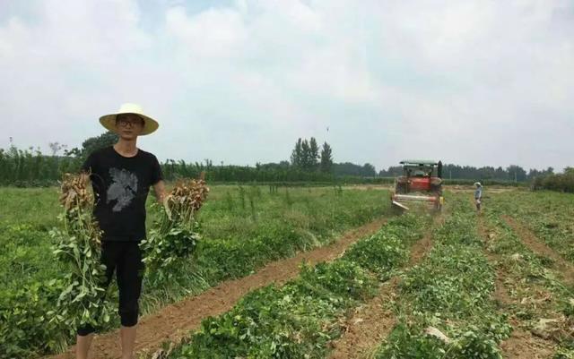 粒粒饱满颗颗香甜的黑花生，想要种好可不容易