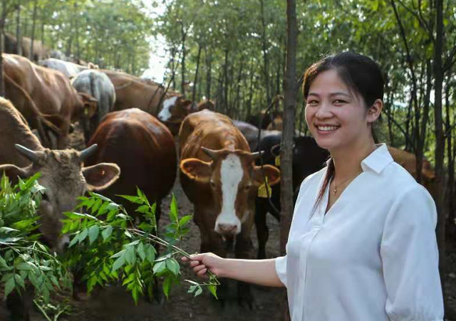 人大代表风采⑦  山妹子的“牛”事业