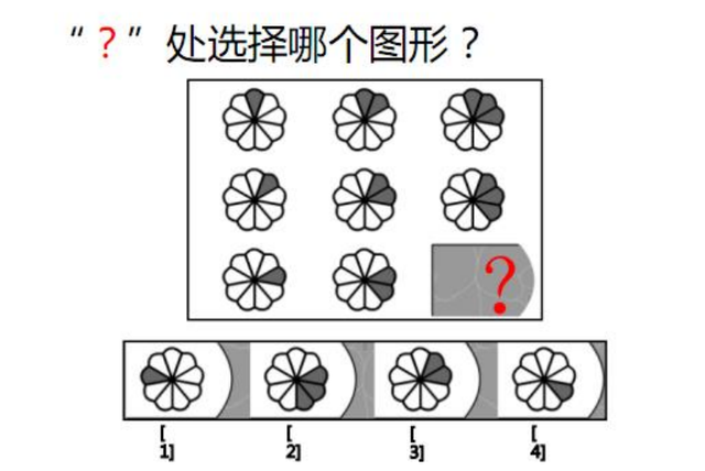 玉米地里套种什么最好？