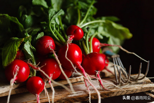 8种能在居室里快速生长的蔬菜，让你在疫情管控期间蔬菜自给自足