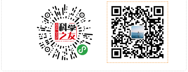 紫檀、白檀、黑檀、绿檀.......到底是什么木头？