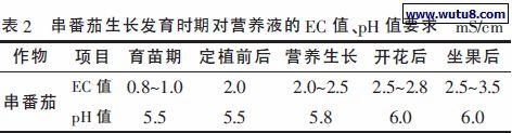 温室大棚里的串收番茄基质无土栽培技术干货满满、智能温室工程