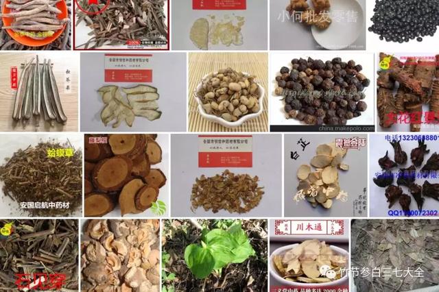 冷背药材名录大全，重楼、金线莲、山慈菇、竹节参、千层塔等