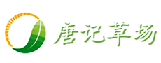 大叶油草的栽培注意事项探讨