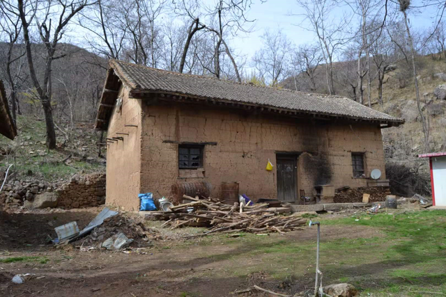 永济虞乡扶窑村：大山深处，山路陡峭，生产高山西红柿