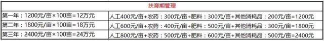 种柑桔，你算过这笔账吗？（投入篇）