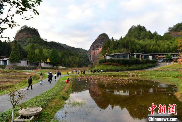 台湾青年扎根福建三明：在乡村振兴中找到“完美契合点”