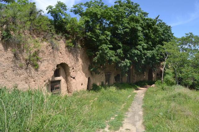 永济虞乡扶窑村：大山深处，山路陡峭，生产高山西红柿