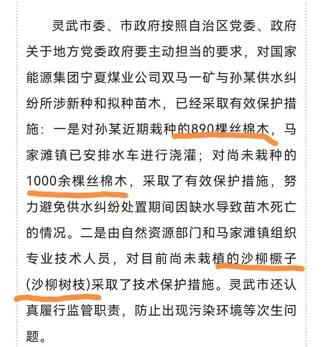 当地农民被打脸，孙国友种的是耐旱抗沙的植物，万亩沙漠变成树林