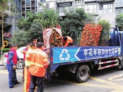 @龙岗人 年花年桔别乱丢，一个电话免费上门回收！