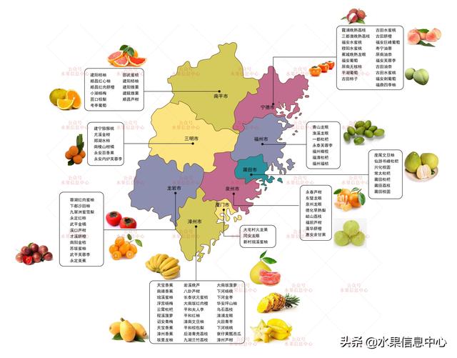 福建水果地图大全，想不到福建也产这么多水果