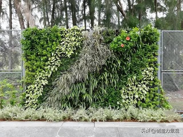 【造花园·植物墙】庭院种植新方式——植物上墙让庭院更美