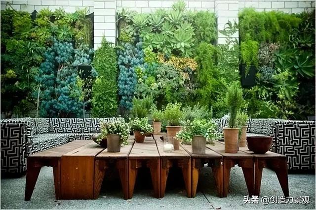 【造花园·植物墙】庭院种植新方式——植物上墙让庭院更美