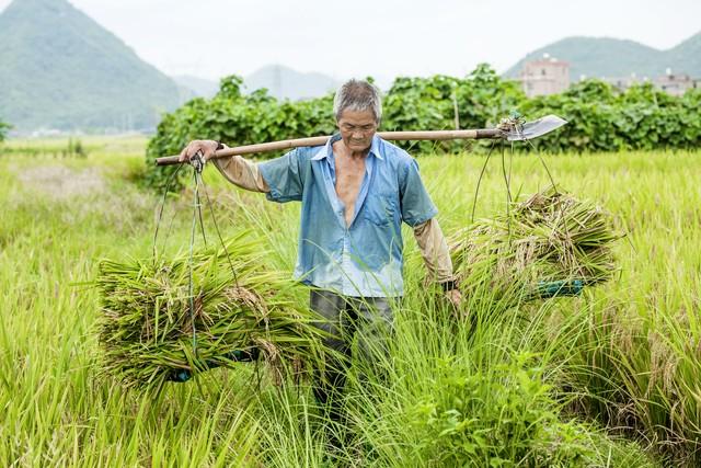 当下的农民农业能致富吗?