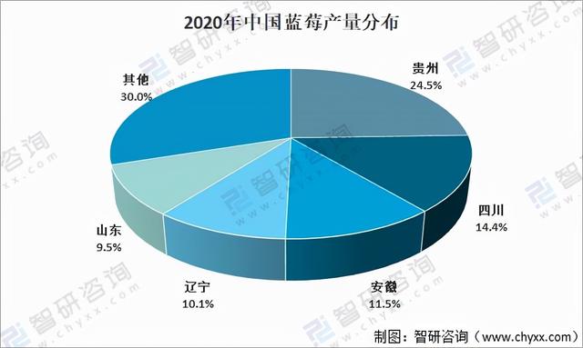 2020年全球蓝莓种植情况分析：中国已成为全球最大的蓝莓种植地