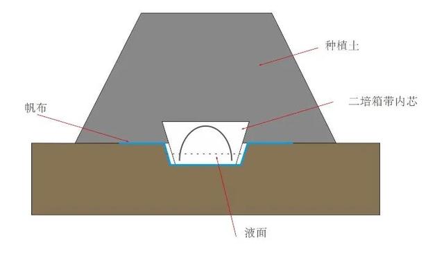 介绍一种适合大棚的二培方式