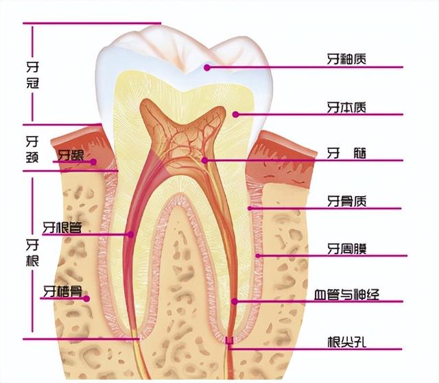 第三次看牙医，再也不想去了