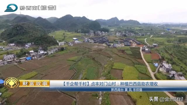 「千企帮千村」贞丰对门山村：种植巴西菇助农增收