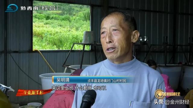 「千企帮千村」贞丰对门山村：种植巴西菇助农增收