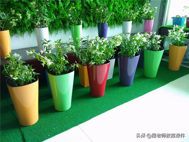 屈老师大班科学教案《植物的家》