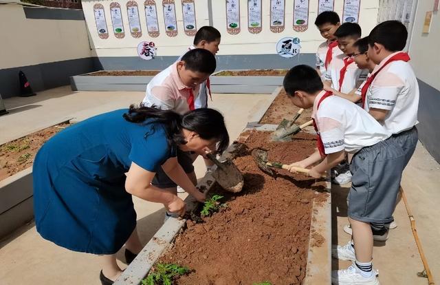 体会种植乐趣 感受收获喜悦 建设路小学种植园收获啦！