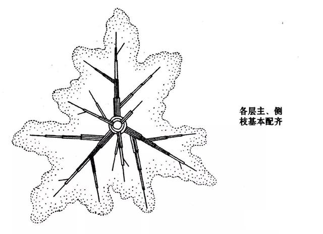 很全面的苹果双矮化种植方案，建议收藏