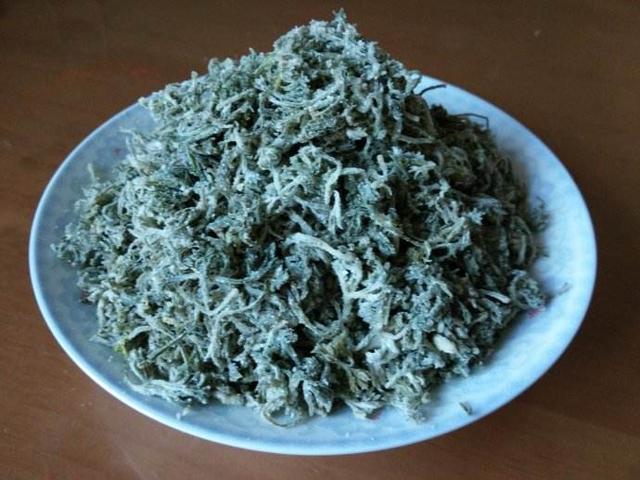 这种野草是茼蒿的“近亲”，3月份吃正鲜嫩，6月份用来烧火！