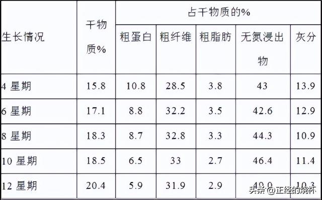 亩产30吨可收割15年，价值是玉米的10倍，种植巨菌草真这么赚钱？